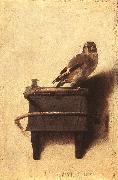 FABRITIUS, Carel The Goldfinch dfgh oil on canvas